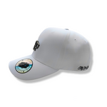 Load image into Gallery viewer, MVL Black line curved cap - white